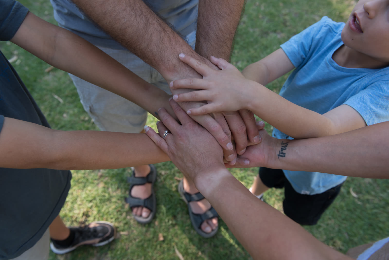 Group Immersions